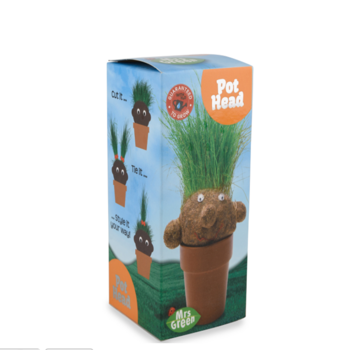 Head pot goofy Head pot goofy