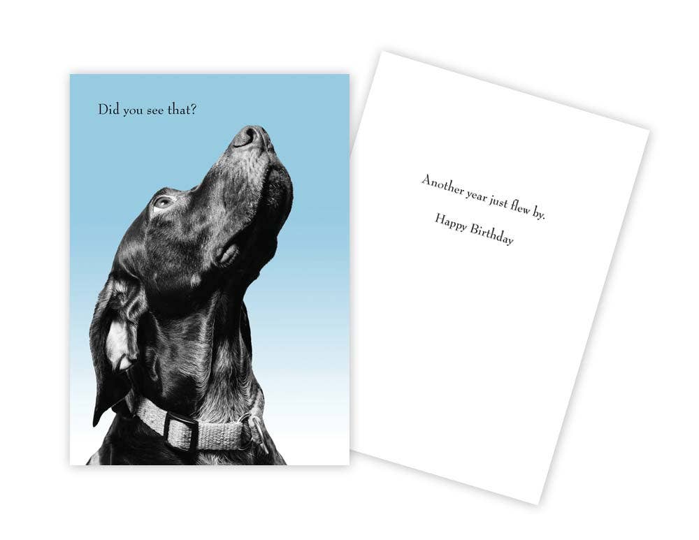 Funny Dog Birthday Card